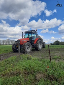Componentes del Motor del Tractor Agrícola Massey Ferguson 290/6270, Incluyendo Rodamientos, 80HP, Origen Francia - Product Image 5