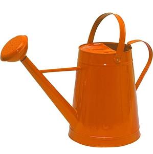 Lata de agua de estilo lujoso única con caño largo, regadera blanca con mango de madera para niños, regadera de flores para jardinería doméstica - Product Image 6