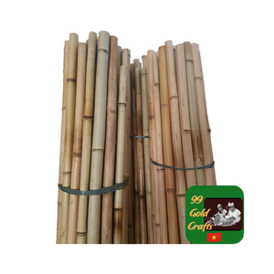 Tube de poteaux en bambou naturel pour projets de construction et de construction Matériau solide et durable avec qualité de support fiable à long terme - Product Image 1