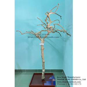 Percha de madera para pájaros con forma irregular, estilo clásico y duradero, para uso en interiores, base cuadrada, hecha en Vietnam. - Product Image 3