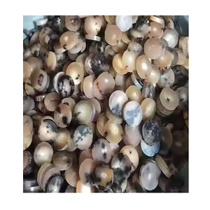 Boutons professionnels en corne de bœuf, vierges, pour la confection de vêtements, accessoires de mode personnalisés, matière première pour marques de vêtements. - Product Image 1