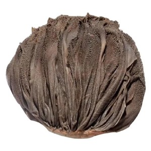 Boeuf séché salé Halal de qualité supérieure Omasum Organic Nature Caractéristique Emballage en vrac de style séché avec guide complet - Product Image 1