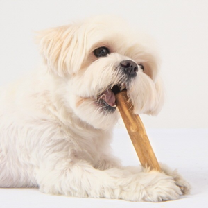 Bois à mâcher pour chien : naturel, sûr et amusant pour la longue durée - Product Image 5