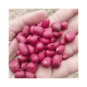Cacahuetes tamaño grande, material: nueces secas con cáscara; uso: aperitivo y para carritos de venta ambulante; origen: Vietnam, exportación - Product Image 2