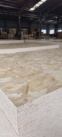 Panneau OSB2 OSB3 1220x2440mm anti-termites, pour construction extérieure, meubles, décoration, emballage, épaisseur 9-25mm