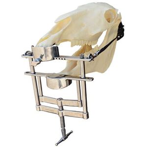 Instrumento veterinario de mayordomo equino de construcción Premium, pinzas dentales de mordaza para diagnóstico de mascotas - Product Image 6