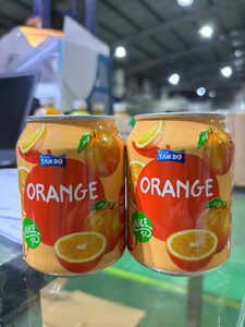 Tan Do Brand 250ml Petite boîte de jus de fruits et légumes en purée de l'usine vietnamienne emballée dans des bouteilles-Mangue Ananas Goyave - Product Image 2