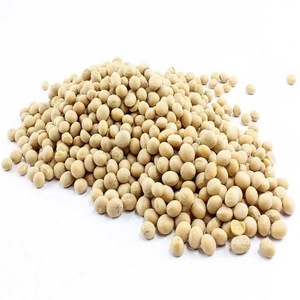 Soja biologique séché de haute qualité, non-OGM, emballage en vrac de 25 kg, durée de conservation de 24 mois, soja de qualité export à vendre - Product Image 1