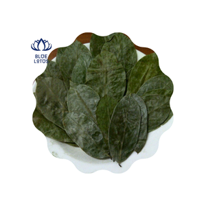 Daun Sirsak Kering