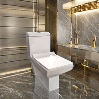 Siège de toilette intelligent Neo 114 de qualité supérieure toilette de salle de bain en céramique monobloc avec réservoir dissimulé en gros