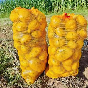 Noyaux d'arachides décortiqués de qualité supérieure en vrac pour les collations, le beurre d'arachides et les bonbons pour les industries alimentaires et les acheteurs internationaux - Product Image 6