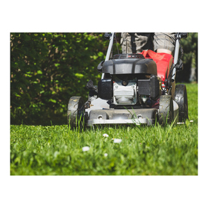 Tondeuse à gazon en vrac fournie pour une expédition rapide dans le commerce extérieur - Product Image 1