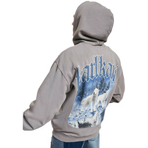 Sudadera con Capucha de Invierno para Hombre, 100% Algodón, Gruesa, con Estampado, Bordado, Cierre de Cremallera, Manga Larga, con Bolsillo, Estilo Urbano - Product Image 3