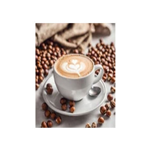 เฟนโซ พรีเมี่ยม อิตาเลียน โรสท์ เฮเซลนัท กาแฟสำเร็จรูปชนิดผง เมล็ดอาราบิก้า รสชาติกลมกล่อม มีคาเฟอีน เกรดพรีเมี่ยม บรรจุ 50 ซองต่อกล่อง - Product Image 1
