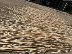 Material de Ratán de Alta Calidad, Caña/Palo de Ratán de Fábrica en Vietnam - Product Image 2