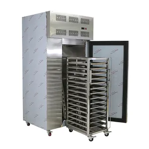 Refrigerador de explosão industrial para galinha, descongelamento automático comercial, cozinhas