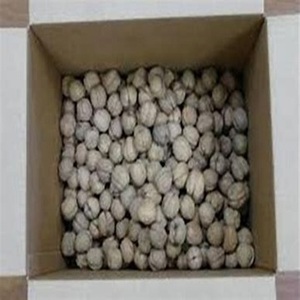 Nueces Orgánicas de Primera Calidad Secadas al Aire, Precio al por Mayor, Sin Cáscara, Estilo Fresco, Tostadas y Crudas, Empacadas en Bolsa - Product Image 4