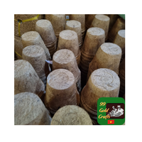 Récipient de pépinière écologique biodégradable en fibre de coco durable Choix de tailles pour les fleurs, les herbes et les arbres