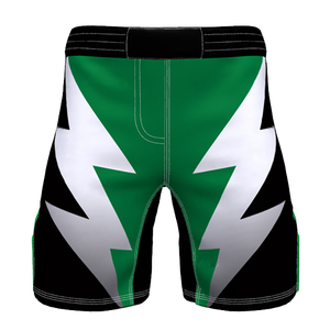 Shorts MMA pour hommes avec logo personnalisé, taille élastique, 100% polyester, imprimés par transfert thermique pour l'entraînement au kickboxing - Product Image 1