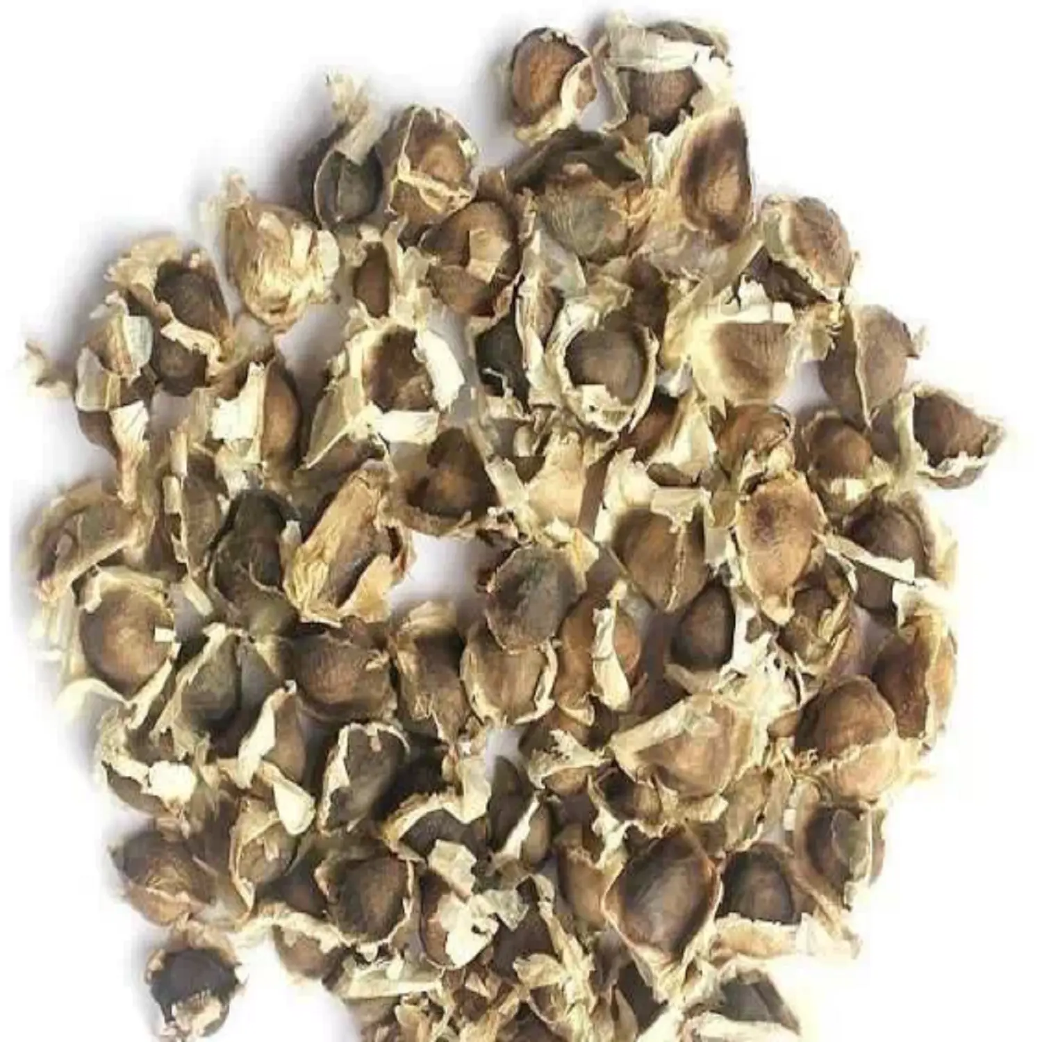 Wholesale Moringa Seeds - Moringa Oleifera Seed For Export Protecting And Nourishing Skin And Hair Treating Edema