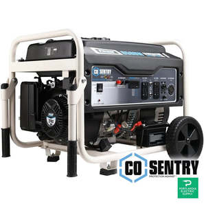 Générateur portable Pulsar CO Sentry PG6580ECO avec démarrage automatique et capteur de monoxyde de carbone - Product Image 1
