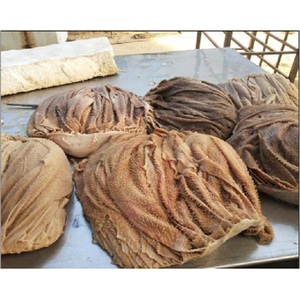 Industrial Grade <b>Beef</b> Omasum Frozen Tripe Cleaned Processed For Food Manufacturing - Product Image 2