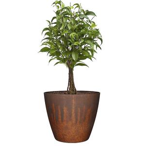 Jardinière de table intérieure et extérieure pour la maison et le jardin Jardinière martelée en métal noir Pot de fleurs pour salon balcon décoratif - Product Image 5