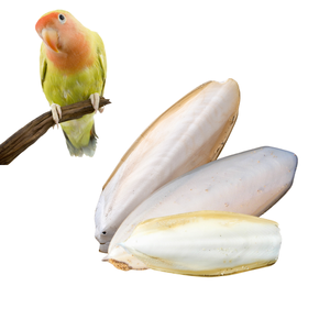 PRODUCTO CALIENTE INDUSTRIA ALIMENTOS PARA MASCOTAS ALIMENTOS SECOS BLANQUEADOS CUBO CORTADO POLVO HUESO DE SEPIA para BIRD BLISTER EMBALAJE A GRANEL/Sra. Lima - Product Image 1