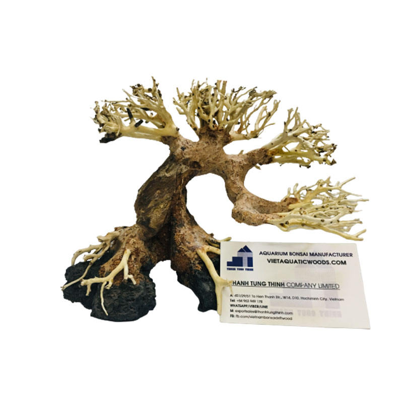 ธรรมชาติ