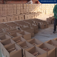 Fournisseur en gros de bois dur d'eucalyptus Bois de chauffage pour l'énergie thermique Quantité en vrac prêt pour l'exportation depuis le Vietnam