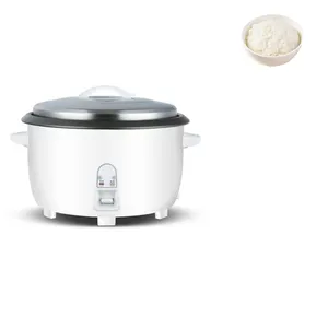 Factory Wholesale 13L Multi-functional Abroad White Rice Cooker Professional Ice Making Machine