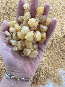 Longanes séchées de qualité supérieure fabriquées pour les commandes d'exportation en gros destinées aux distributeurs, aux grossistes et aux marchés alimentaires étrangers - Product Image 2