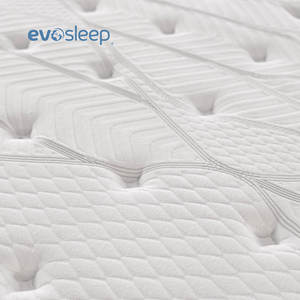 Terra Chất Lượng Cao Phong Cách Thiết Kế Châu Âu Lai Nệm Hai Mặt Thoải Mái Với Độ Cứng Cho Đồ Nội Thất Nhà - Product Image 3