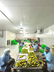 ผู้จัดจำหน่ายอะโวคาโดแช่แข็งจากเวียดนามและผลไม้เขตร้อนสีเขียว - Product Image 2