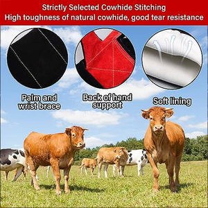 Guantes para Manipulación de Animales, Guantes Resistentes a Mordeduras para Perros y Gatos, Guantes Multiusos Reforzados con Cuero para Mascotas - Product Image 5