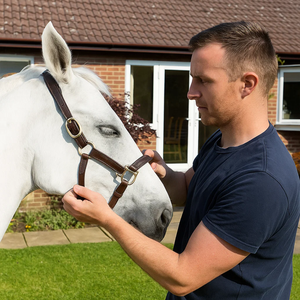 Selle anglaise de haute qualité en gros |   Licol pour cheval |   Nylon et cuir confortables |   Accessoire équestre |   Logo personnalisé - Product Image 3
