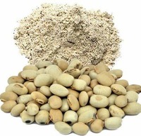 Complément Herbal Premium : Extrait Naturel de Graines de Kounch de Haute Qualité, Poudre Conditionnée en Fût, Qualité Alimentaire, Extraite par Solvant