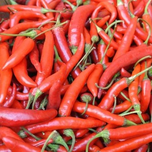 Chiles Frescos de Alta Calidad para Exportación - Grado Premium, Directo de Vietnam, Libre de Impuestos, en Venta - Product Image 1