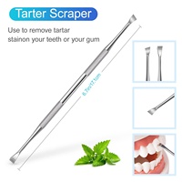 Lot de 3 outils dentaires manuels en acier inoxydable pour le nettoyage des dents : gratte-dents, cure-dent et détartreur commercial