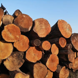 Hạt dẻ bản ghi cho nội thất gỗ dự án hạt dẻ gỗ cho khắc và crafting hạt dẻ bản ghi cho Diy gỗ dự án - Product Image 1