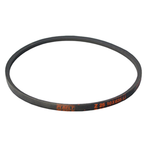 Cinghia Z25 per spremitore di pomodori Ts Pavi - Product Image 1