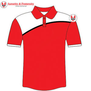 Camisas Polo Griegas Bordadas de la Hermandad Delta Sigma para Mujer |   Camiseta Polo Personalizada con Logotipo y Letras Griegas Bordadas para Mujer - Product Image 5