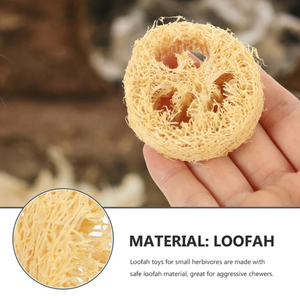 Juguetes de conejo, hámster de madera Natural, conejito, juguetes para masticar, mascota pequeña, conejillo de indias, juguetes, bolas de ratán de hierba - Product Image 3