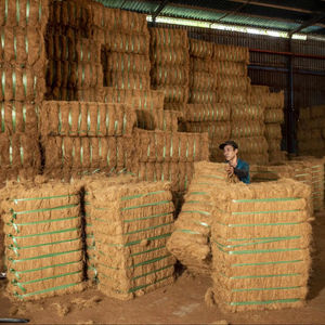 Fibre de coco pour rembourrage, brun doré, nettoyée, longueur 5-25 cm, qualité B, 30 % d'humidité, balles de 100 kg pour usage industriel - Product Image 1