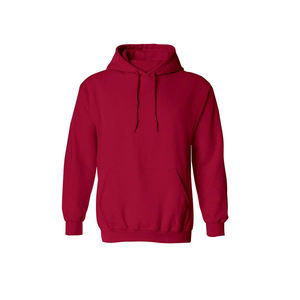Abordable hommes coton pullover sweats à capuche doux et confortable tissu de qualité supérieure coupe classique adapté à tous les jours - Product Image 1