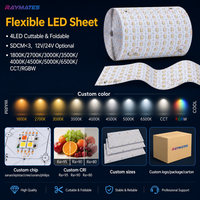 Feuille LED Flexible Ultra-Fine à Luminosité Premium, Super Fine, 4-en-1 RGBW, Personnalisable pour Marbre Rétroéclairé
