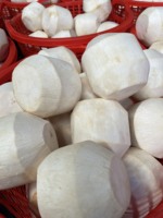 Exporteer Tropisch Fruit Uit Vietnam Verse Jonge Kokosnoot Gemakkelijk Te Openen Met Stro