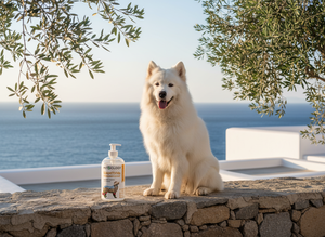 Champú para Perros de Piel Sensible PETBIOLOGY – Hipoalergénico y Seguro para Cachorros, 300 ml - Product Image 6