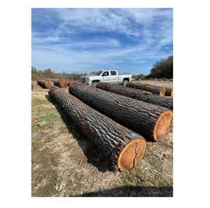 ไม้โอ๊กชิ้นใหญ่จากซัพพลายเออร์อเมริกาเหนือ พร้อมเอกสารส่งออกครบถ้วนและใบรับรองทางสุขอนามัย - Product Image 1