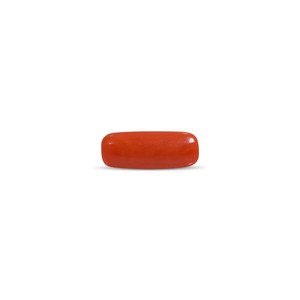 พลอยปะการังสีแดงขัดเงา 7.51 กะรัต สีขาว สูง 8 มม. - Product Image 2